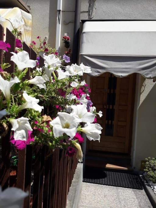 Lovely House Claudia-Perfetto Per Venezia 梅斯特雷 外观 照片